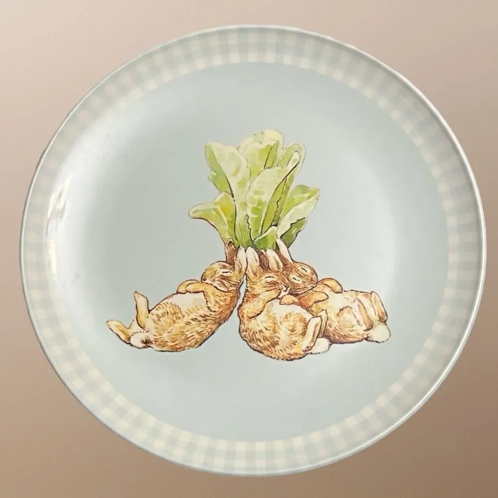 2 Pottery Barn Beatrix Potter Peter Rabbit Plates 9”